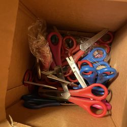 Box Of Scissors