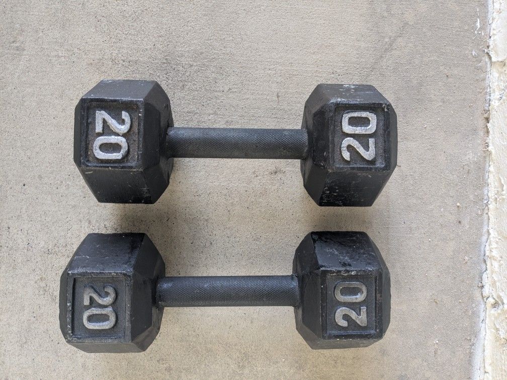 20 Pound Weights