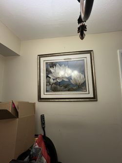 Wall Art / Decoration 