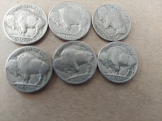 1936 Buffalo Nickels 6ct