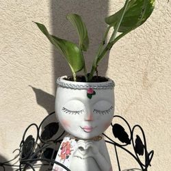 PLANTERS FOR MOTHERS DAY LAST CALL