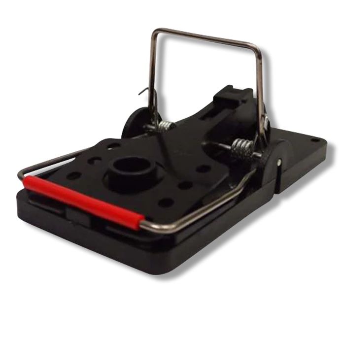 Easy Set Rat Trap - (Box Of 6 Traps)