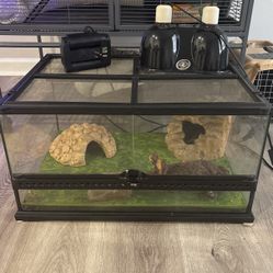 Cage For Small Reptile
