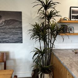 Tall Indoor Faux Plant In Decorative Pot