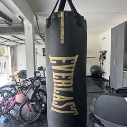 Everlast Punching Bag