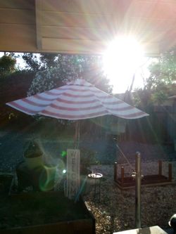 Backyard umbrella and picnic table w/umbrella