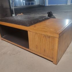 Ottoman/ Coffee Table