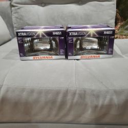 Nissan Hardbody Or Pathfinder Headlights