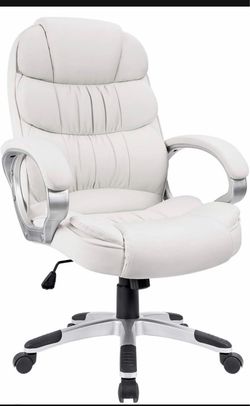 Office Chair/Desk Chair