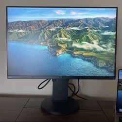 Monitor Screen NEC