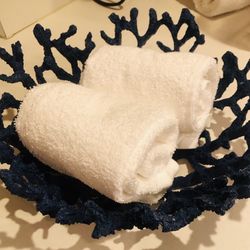 BRAND NEW BRIGHT WHITE HAND GUEST set of 2