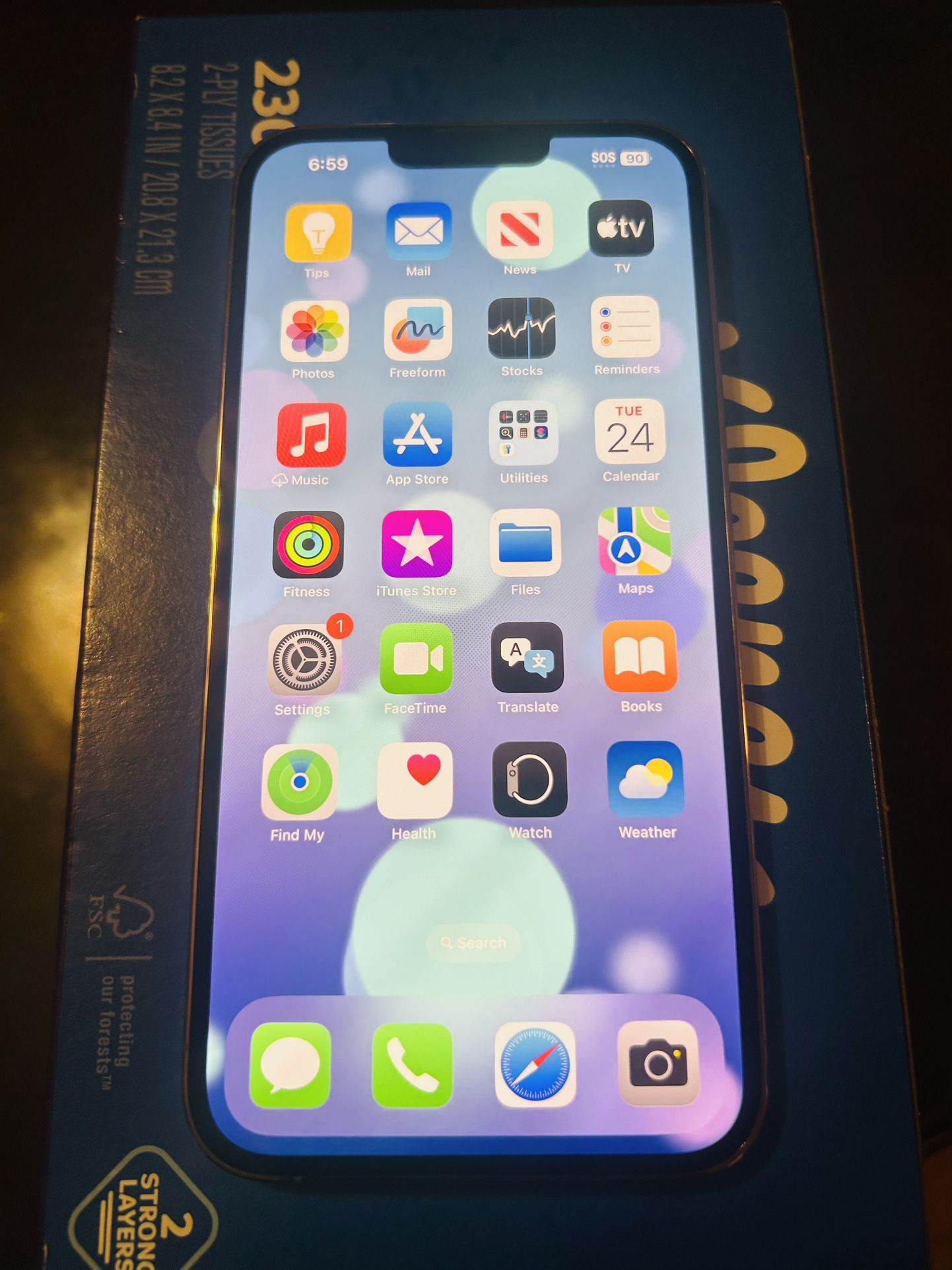 iPhone 13 Pro Max