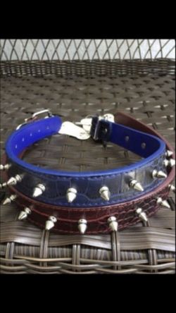 Spiked Dog Collars