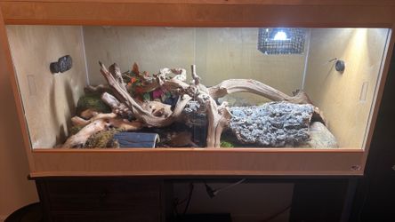 Snake enclosure