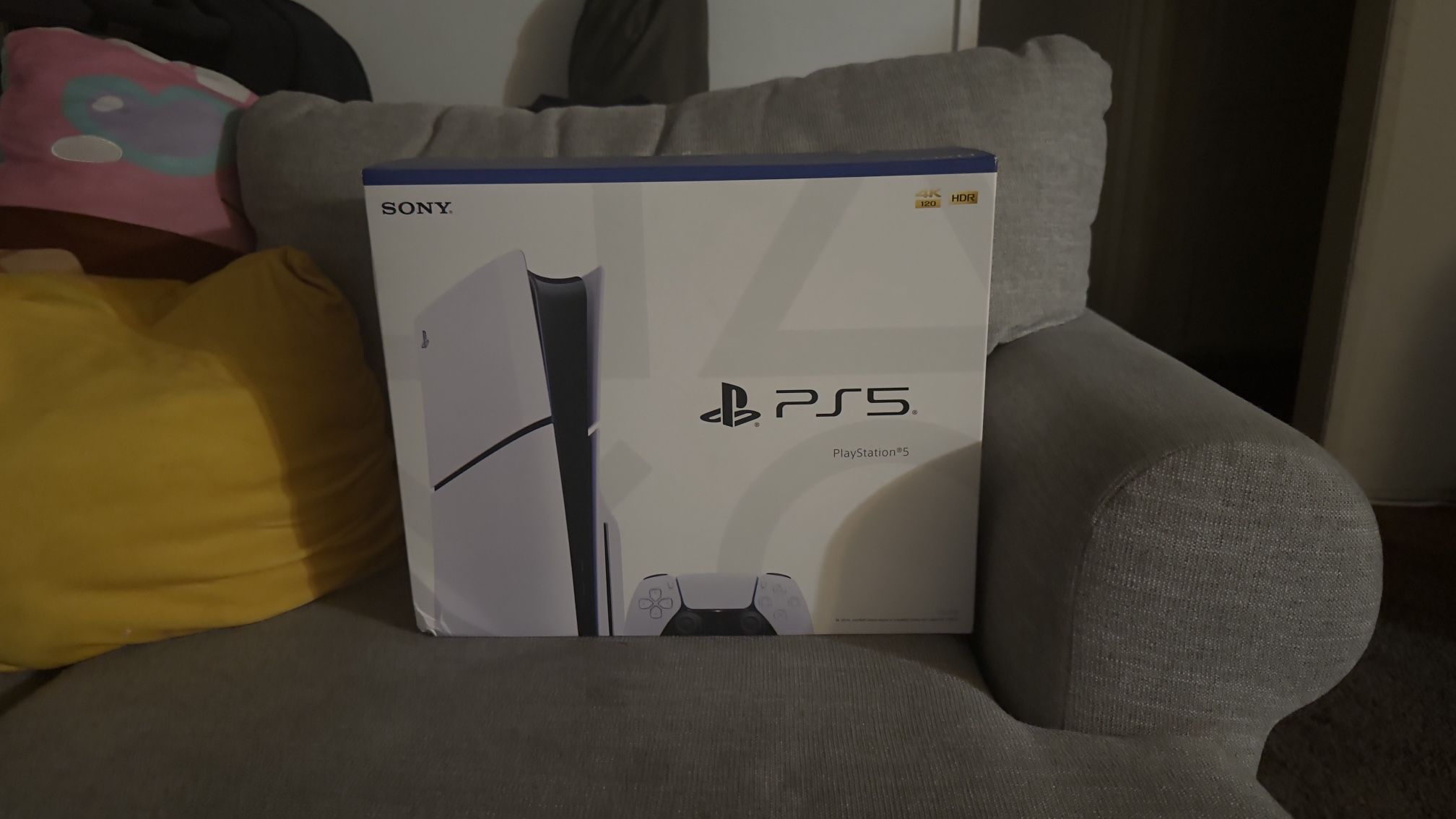 Ps5 Disk version