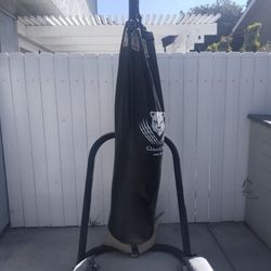 Punching Bag & Stand