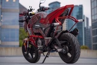 NEW Kevtek Z125 Full armor package includes a cage, subcage and axle pegs - white