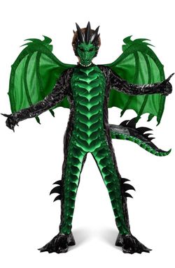 Dragon Costume Size: L
