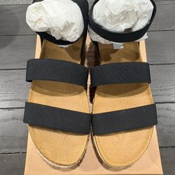 Steve Madden Wedge Sandal   