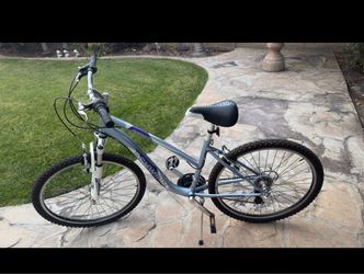 Schwinn Mountain Bike Silver and Purple