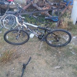 Gary Fisher Bicycle 40.00