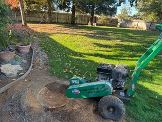 Stump Grinder