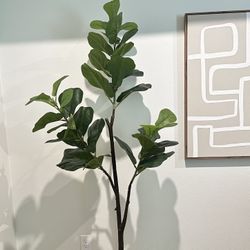 Faux Plant