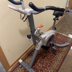 Sunny Exercise Bike