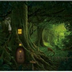 Enchanted, Fairytale  Forest Backdrop 20ftx10ft