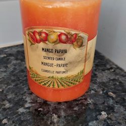 Pier 1 Imports Mango Papaya Scent Pillar Candle Home Fragrance Sealed Unused 3x4