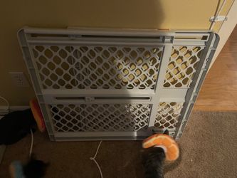 Baby Gates