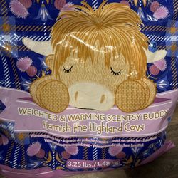 Scentsy 