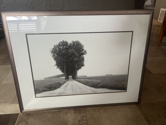 Henri Carter Bresson print professionally framed