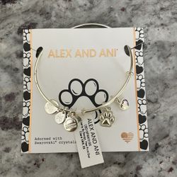 Alex And Ani Charm Bracelet 