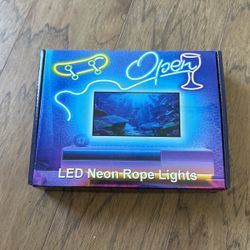 LED Neon Rope Lights