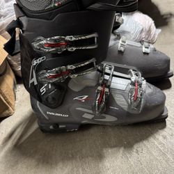 Ski Boots Size 13