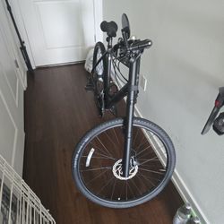 Cannondale BAD BOY City Bicycle, BLACK, SIZE L