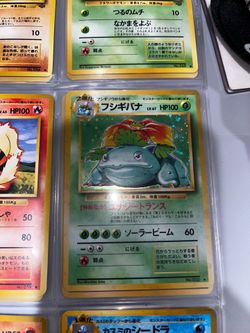 Venasaur Japanese