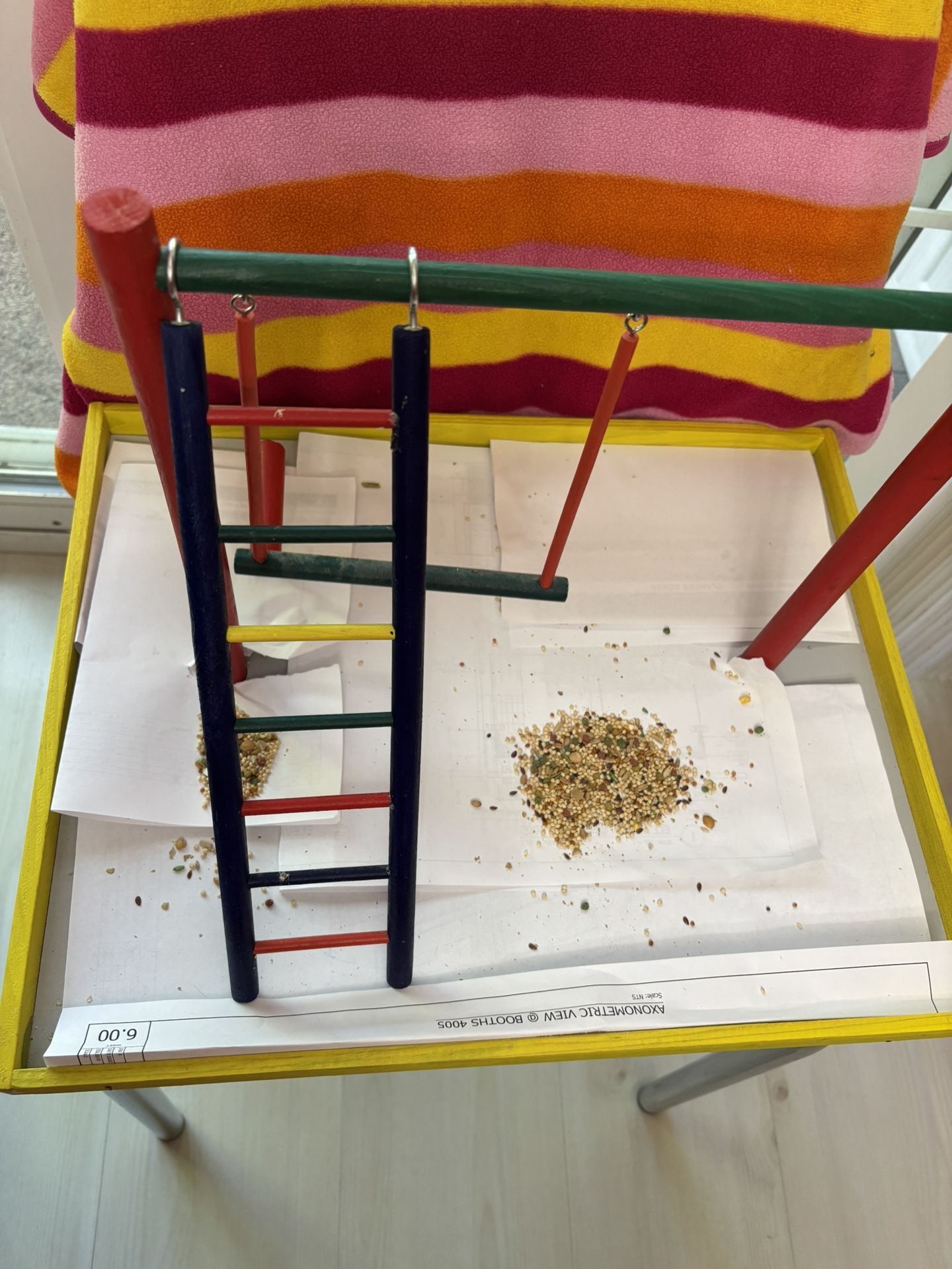 Parakeet/Small Bird Playground 