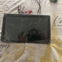 10 Inch Radio \ Monitor