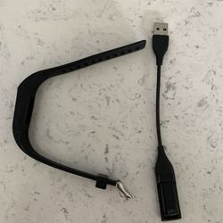 Fitbit Flex