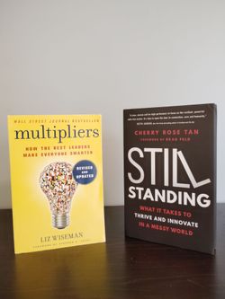Multipliers & Still Standing Business Books Bundle