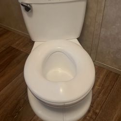 Potty Seat