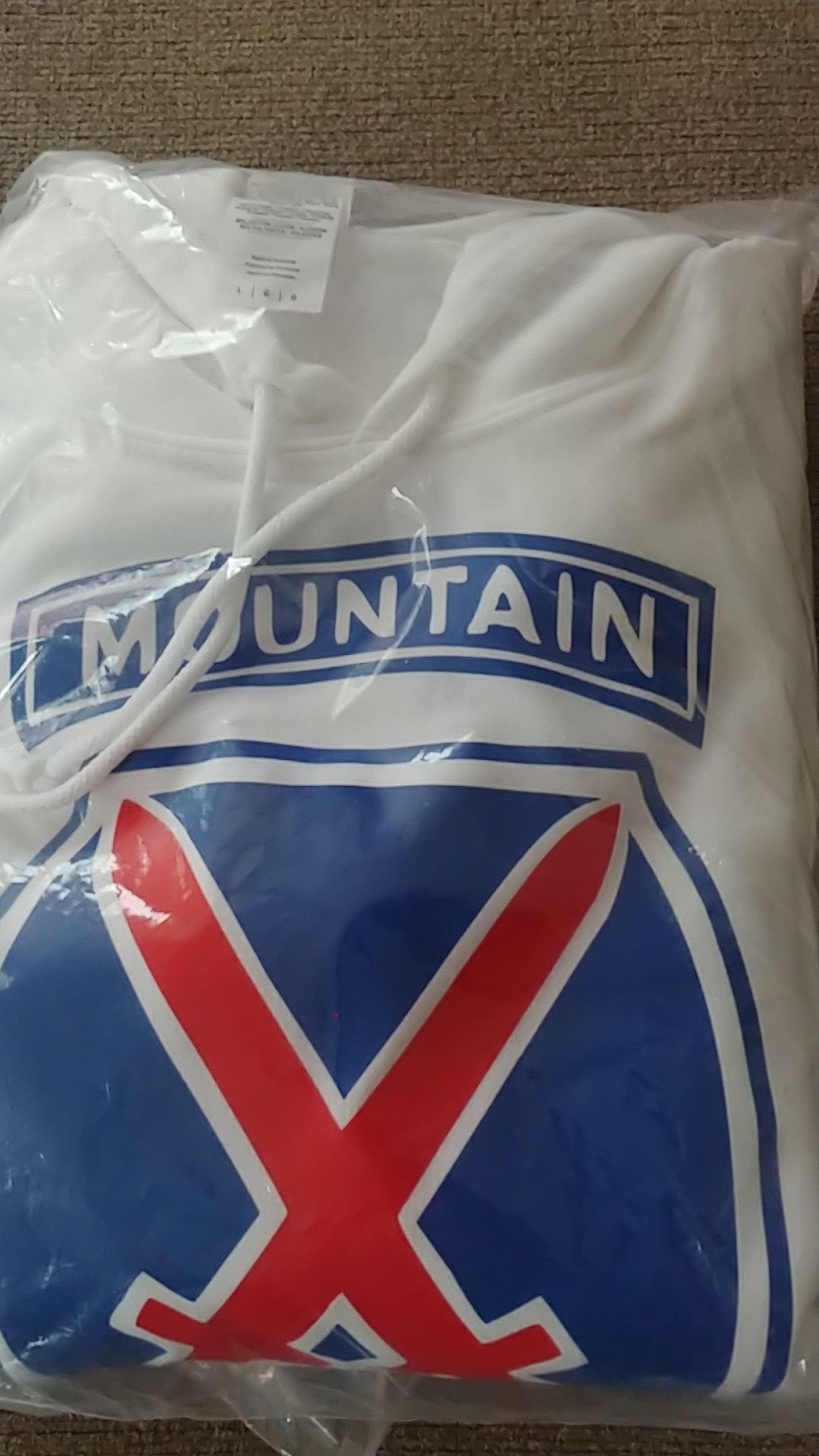 10th mountain hoodie