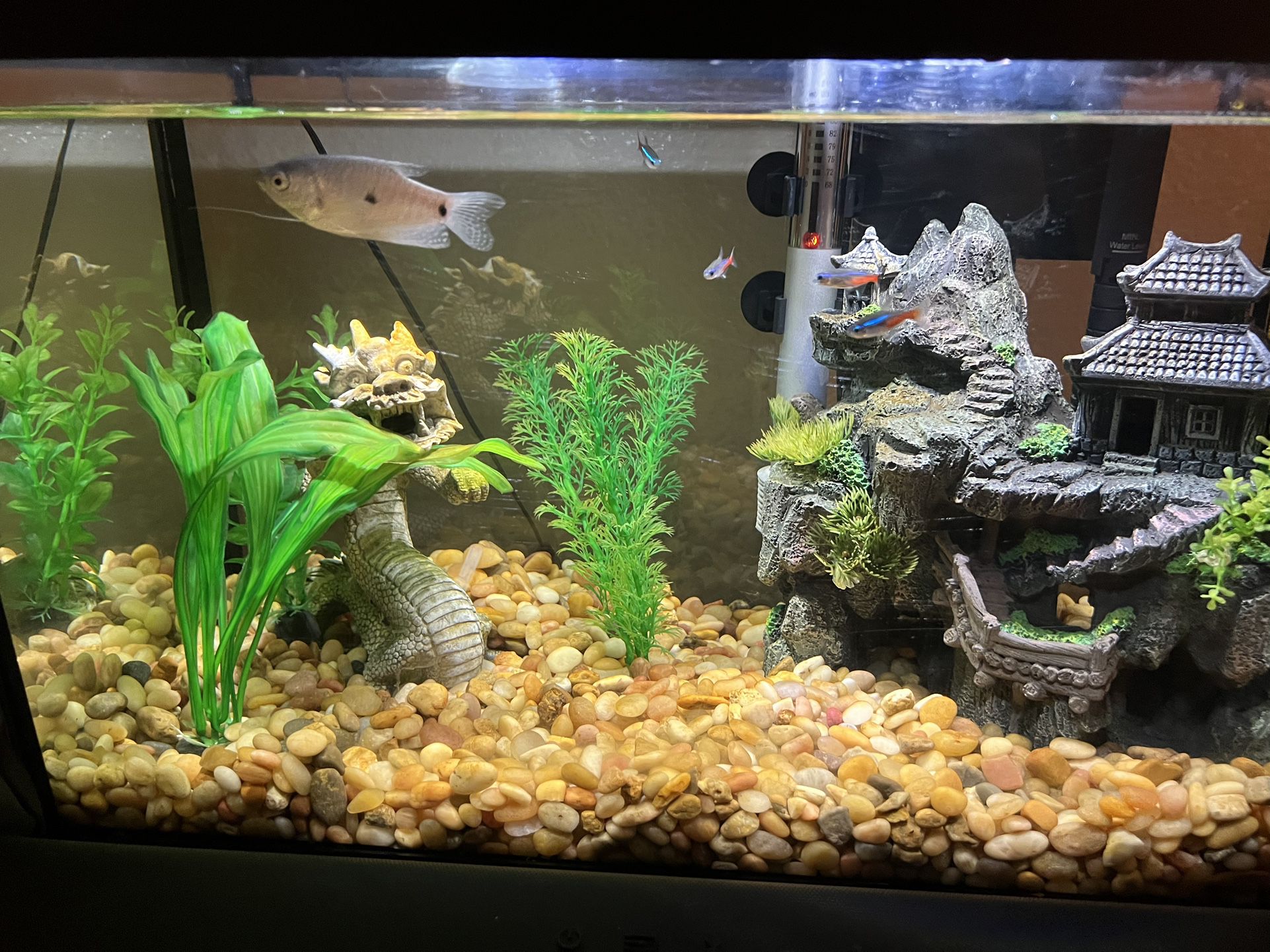 Fish Tank / Aquarium (PENDING PICKUP) for Sale in Anaheim, CA - OfferUp