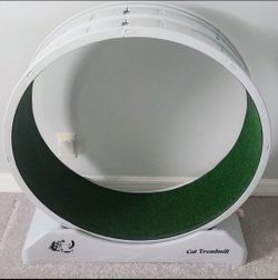 Cat Treadmill Exercise Running Wheel