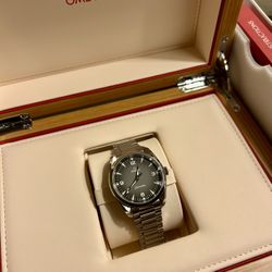 2025 Seamaster Railmaster 38 Grey Dial 235.10.38.20.06.001
