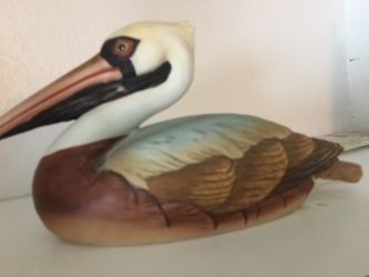 Large Pelican