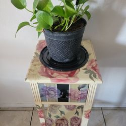Beautyfull Plant Stand w drawer 