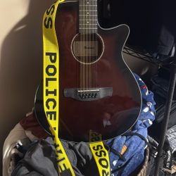 Ibanez 12 String AEG5012DVH